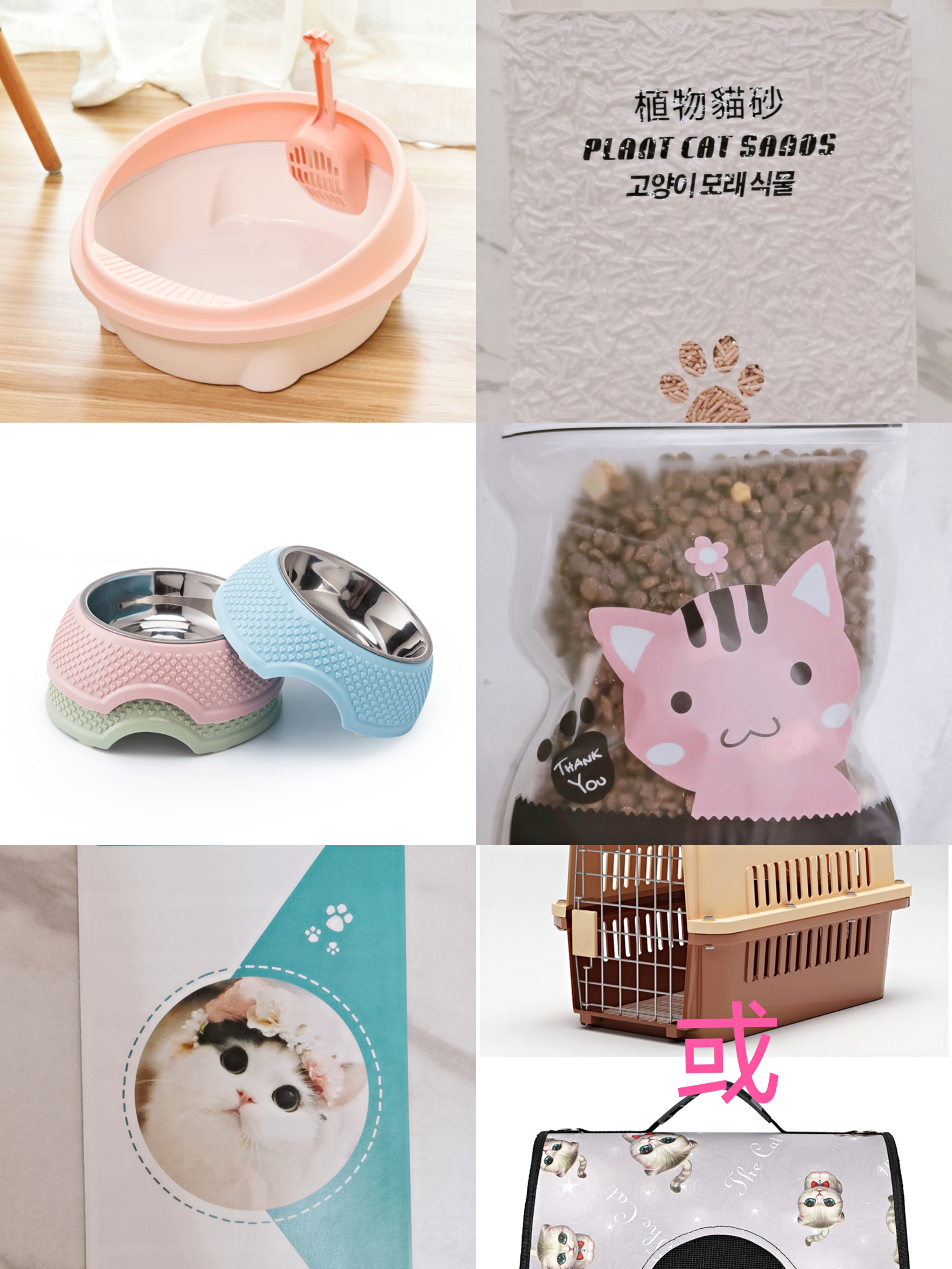 精品海豹双布偶,大开脸,满耳满背